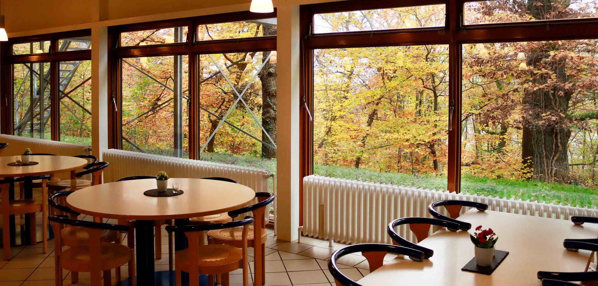 Das Foto zeigt den Speisesaal und hinter den Fenstern einen Wald im Herbst.